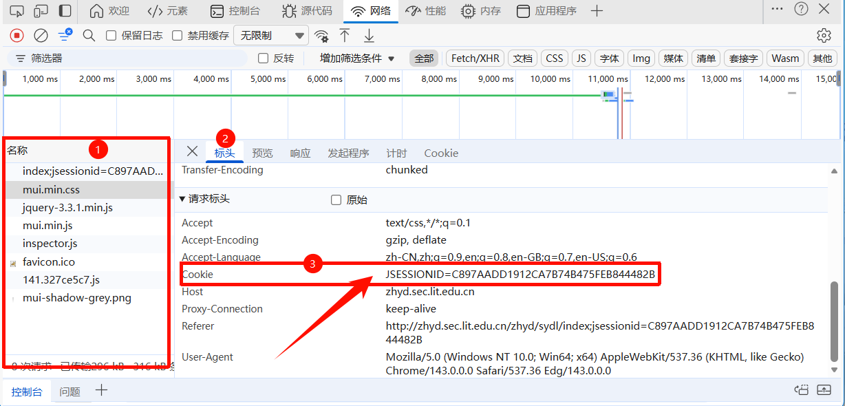 复制 Cookie 中的 JSESSIONID